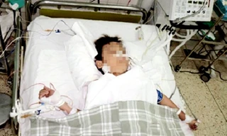 Ảnh minh họa: Internet