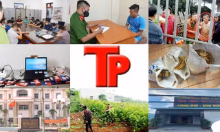 Bản tin Hình sự: Thiếu nữ bị 4 thanh niên chuốc say, hiếp dâm