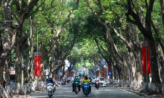 Những con đường 'giải nhiệt' nắng nóng như đổ lửa ở Hà Nội