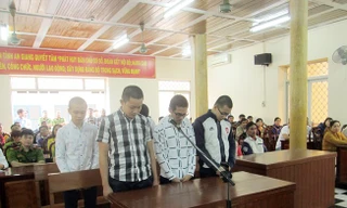 Các bị cáo tại phiên tòa