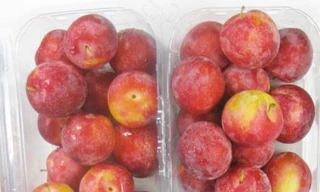 Mận Mỹ đang có giá đắt gấp 5-8 lần so với giá mận Việt Nam, song vẫn được chuộng mua 
