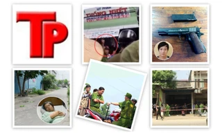 Bản tin Hình sự 18H: Thiếu gia mua dâm 'chân dài' với giá 10 triệu đồng