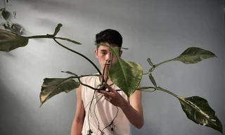 Lạ lùng chàng trai Hà Nội 'xây rừng' trong căn chung cư tầng 18