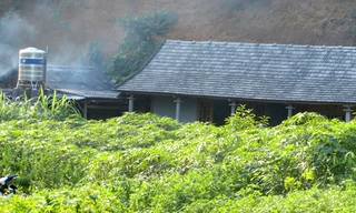 Vị trí nơi Ngô Thị N. gây án sát hại mẹ đẻ chiều ngày 23/7. Ảnh: Báo Lào Cai