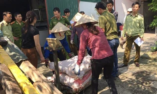 Sáng 25/4, Đội 6 Phòng Cảnh sát phòng chống tội phạm về môi trường (PC49, Công an Hà Nội) và Đội Quản lý thị trường số 11 (Chị Cục Quản lý thị trường), kiểm tra cơ sở thu mua, chế biến các sản phẩm từ động vật (guốc, đuôi, chân, mõm, tai bò luộc). Cơ sở n