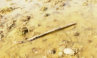 Hung khí tại hiện trường