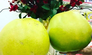 Nhiều cửa hàng đang bán bưởi Mỹ với giá 260.000 đồng/kg