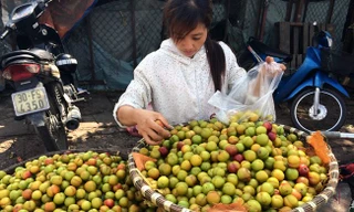 Mận đào Trung Quốc bày bán tràn lan ở Hà Nội