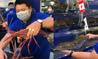 Bất chấp dịch bệnh, hải sản ngoại 'đắt xắt ra miếng' vẫn tiêu thụ mạnh 