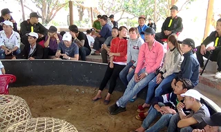 Nhiều người tham gia sới gà bị khống chế