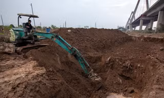 Các chủ vườn đào ở Hà Nội chi bộn tiền để cải tạo vườn sau lũ