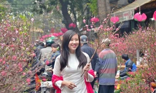 Tuyến phố nào ở Hà Nội bị cấm để mở chợ hoa Xuân Tết Quý Mão?