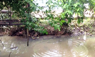 Ảnh minh họa - Nguồn ảnh Internet