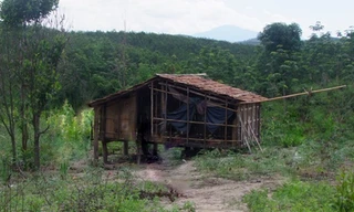 Căn chòi nơi xảy ra vụ việc