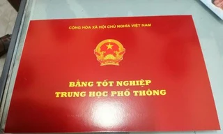 Chủ nhiệm Ủy ban Kiểm tra Huyện ủy Lang Chánh bị cách hết chức vụ trong Đảng