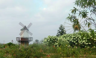 Ngay từ lối vào, vườn hoa bãi đá sông Hồng đã khiến du khách phải ngẩn ngơ vì vẻ đẹp yên bình, dịu dàng và gần gũi