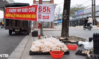 Sự thật chiêu 'giải cứu' trứng gà giá siêu rẻ bán tràn vỉa hè Hà Nội
