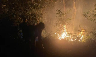 Hà Nội: Diễn biến mới vụ cháy lớn Vườn Quốc gia Ba Vì