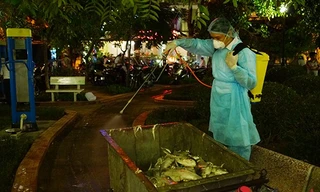 200 tấn cá chết ở Hồ Tây được đưa đi đâu?