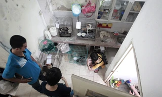 Đến nay biệt đội cứu hộ chó mèo này có rất đông tình nguyện viên, rải rác khắp Hà Nội