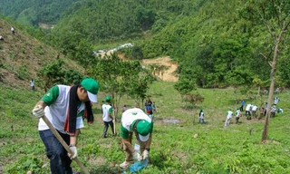Ảnh chỉ mang tính minh họa