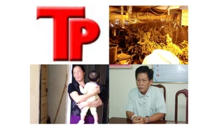 Bản tin Hình sự 18H: Vết trượt của Hoa hậu phu nhân Việt Nam toàn cầu