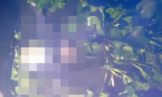 Bé trai 3 tuổi nghi đuổi theo mẹ rồi trượt chân xuống kênh tử vong