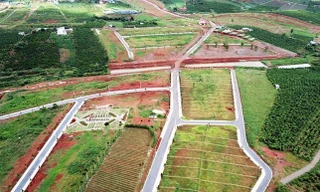 Một đồi chè ở Lâm Đồng bị ủi phẳng.