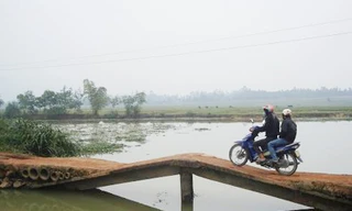 Cây cầu tử thần