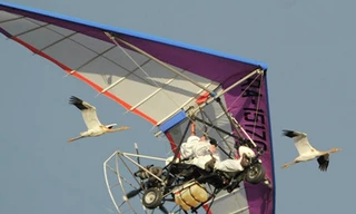 Tổng thống Putin bay cùng đàn sếu