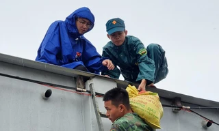 Thành Đoàn Đà Nẵng lùi thời gian Đại hội, tập trung chống bão Noru