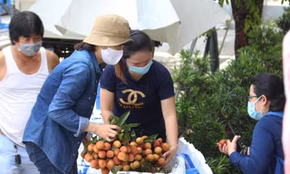 Chỉ trong 2 ngày, thông qua chương trình hỗ trợ tiêu thụ vải thiều Bắc Giang của Hội Doanh nhân trẻ TP Đà Nẵng, người dân đã mua hết hơn 32 tấn vải góp phần giúp nông dân trồng vải giải quyết khó khăn về đầu ra