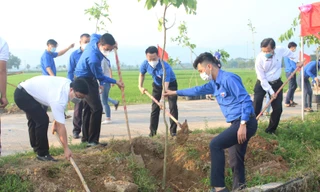 Tuổi trẻ Đà Nẵng trồng mới 25,5 ngàn cây xanh trong năm 2022
