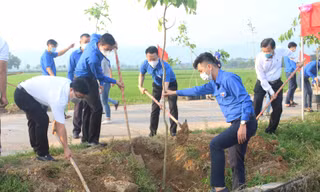 Tuổi trẻ Đà Nẵng trồng mới 25,5 ngàn cây xanh trong năm 2022