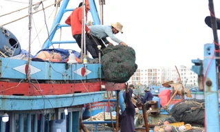 Sau tết, ngư dân miền Trung tất bật vươn khơi bám biển