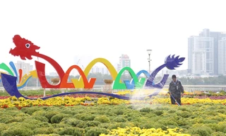 Trên 'đại công trường' thi công đường hoa Tết Đà Nẵng