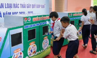 Thanh niên Đà Nẵng cùng xây Trường học Xanh, chống biến đổi khí hậu