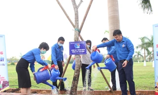 Trong Tháng Thanh niên năm 2021, Thành Đoàn Đà Nẵng và các đơn vị trực thuộc triển khai hàng chục đội hình thanh niên tình nguyện (TNTN) để góp sức trong các hoạt động xây dựng nông thôn mới, đô thị văn minh, cải cách thủ tục hành chính, hỗ trợ lập nghiệp, khởi nghiệp… Ảnh: G.T