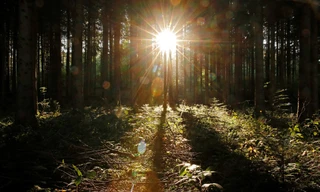 Mặc dù kế hoạch giả định của các nhà khoa học được cho là khả thi, nhưng cũng không tránh khỏi những tác dụng tiêu cực do nó gây ra. Ảnh minh họa.