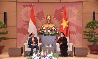 Chủ tịch Quốc hội nhiệt liệt chào mừng Tổng thống Joko Widodo lần đầu tiên thăm chính thức Việt Nam. Ảnh: Như Ý