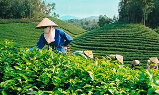 Nông nghiệp Việt Nam thời cách mạng 4.0