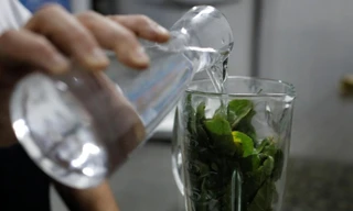 Lá Guasimo có chứa tanin, chất chống virus, được các bệnh nhân HIV Venezuela dùng để chữa bệnh.