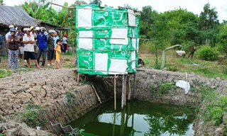 Bào thai nổi trong ao cá ở Cà Mau