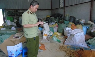 Thu giữ gần 300kg đông dược nhập lậu