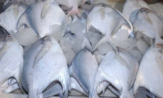 Ảnh minh họa. Nguồn: Internet