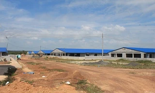 Buộc tháo dỡ trại chăn nuôi heo xây dựng trái phép trong rừng cao su