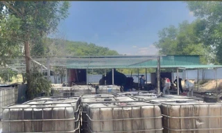 Phát hiện cơ sở sản xuất tái chế nhớt thải quy mô 'khủng' tại Bình Thuận