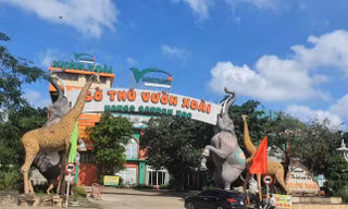 Khu du lịch Vườn Xoài tạm đóng cửa sau khi hổ nuôi chết hàng loạt