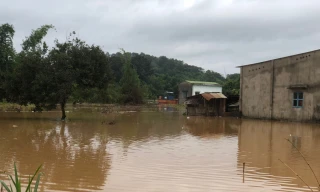  Thủy điện xả lũ, Đồng Nai gấp rút di dời hàng ngàn hộ dân