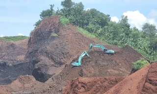 Lý do Đồng Nai xin gia hạn 3 dự án cải tạo đất nông nghiệp